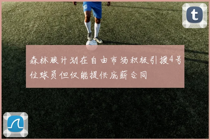 森林狼计划在自由市场积极引援4号位球员但仅能提供底薪合同