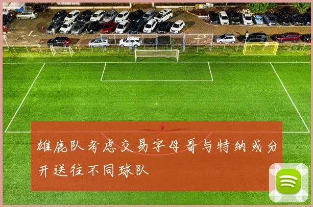 雄鹿队考虑交易字母哥与特纳或分开送往不同球队